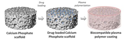 Scaffolds_CalciumPhosphate_Plasma
