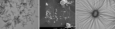 nanoparticles_CPC.jpg