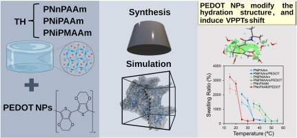 Conductive nanocomposites as molecular modulators of hydration in thermoresponsive PNiPAAm-derivative hydrogels.jpg