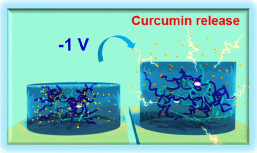 Electroresponsive Alginate-Based Hydrogels for Controlled Release of Hydrophobic Drugs