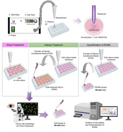 Evaluation of the effects of cold atmospheric plasma & plasma-treated liquids in cancer cell cultures.jpg