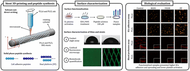 Functionalization of 3D printed polymeric bioresorbable stents with a dual cell-adhesive peptidic platform combining RGDS and YIGSR sequences