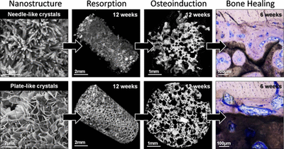 Impact of Biomimicry in the Design of Osteoinductive Bone Substitutes: Nanoscale Matters