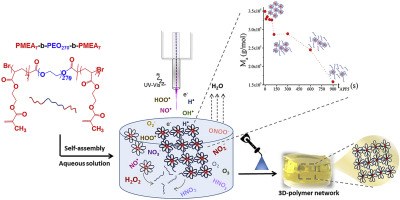 Investigating the atmospheric pressure plasma jet modification of a photo-crosslinkable hydrogel