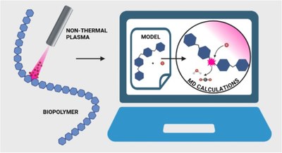 Modeling Plasma-Induced Modifications in Alginate Biopolymers at the Atomic Scale.jpeg