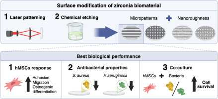 Multiscale hierarchical surface structuring of zirconia using femtosecond laser and chemical etching.jpg