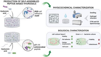 Tailoring Self-Assembled Peptide Hydrogels with Antimicrobial or Cell Adhesive Properties for Tissue Engineering.jpg