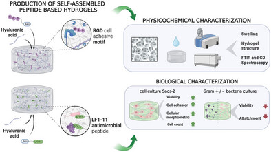 Tailoring Self-Assembled Peptide Hydrogels with Antimicrobial or Cell Adhesive Properties for Tissue Engineering.jpg
