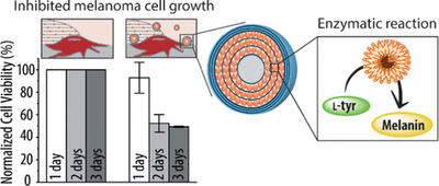 Tyrosinase-Loaded Multicompartment Microreactor toward Melanoma Depletion.gif