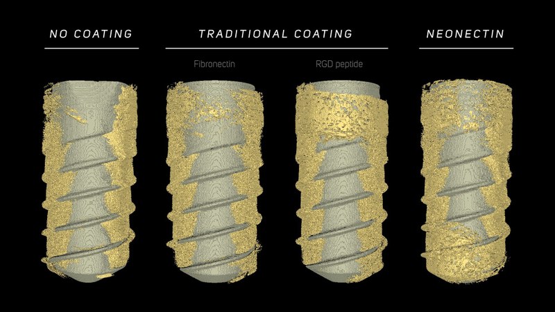 NeoNectines, o com ajudar el teu cos a curar-se de manera natural