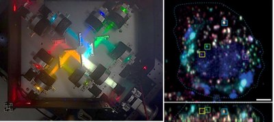 Publicació a Nature Photonics sobre una nova tècnica d’imatge per il·luminar les cèl·lules