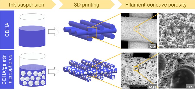 3D printing of hierarchical porous biomimetic hydroxyapatite scaffolds Adding concavities to the convex filaments.jpg