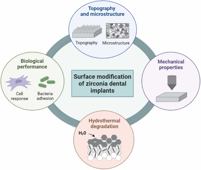 A review of surface topographical modification strategies of 3Y-TZP.jpg