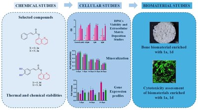 CAPE Derivatives as Potent Agents for Induction of Osteogenic Differentiation in DPSCs and Biomaterial Development.png