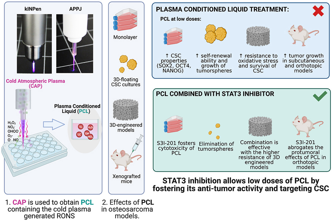 Cold plasma and inhibition of STAT3 selectively target tumorigenicity in osteosarcoma.jpg