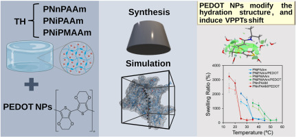 Conductive nanocomposites as molecular modulators of hydration in thermoresponsive PNiPAAm-derivative hydrogels.jpg