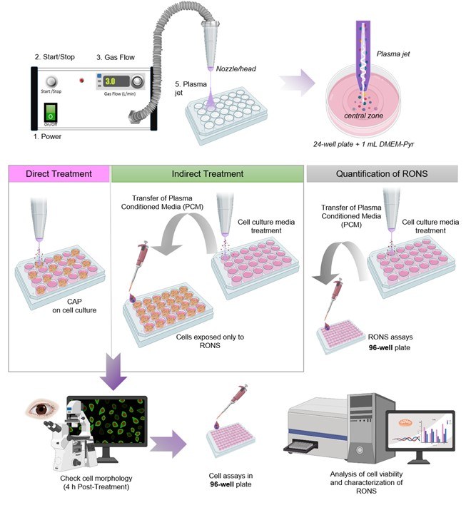 Evaluation of the effects of cold atmospheric plasma & plasma-treated liquids in cancer cell cultures.jpg