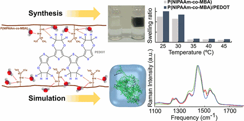 Exploring the Effects and Interactions of Conducting Polymers in the Volume Phase Transition of Thermosensitive Conducting Hydrogels.gif