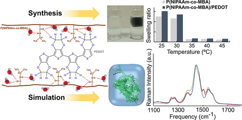 Exploring the Effects and Interactions of Conducting Polymers in the Volume Phase Transition of Thermosensitive Conducting Hydrogels.gif