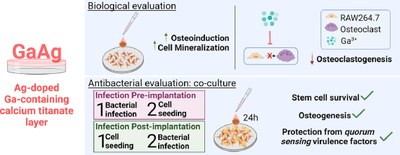 Gallium and silver-doped titanium surfaces provide enhanced osteogenesis, reduce bone resorption and prevent bacterial infection in co-culture.jpg