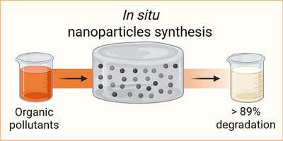In situ synthesis of Fe3O4 nanocatalyst in chitosan-agarose hydrogel membranes for the sustainable and efficient degradation of organic compounds.jpg