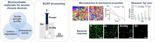 Influence of ECAP process on mechanical, corrosion and bacterial properties of Zn-2Ag alloy for wound closure devices.jpg