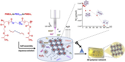 Investigating the atmospheric pressure plasma jet modification of a photo-crosslinkable hydrogel