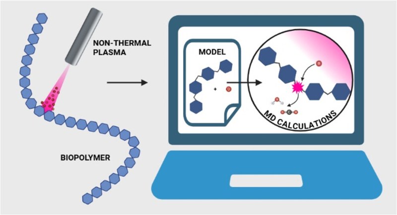 Modeling Plasma-Induced Modifications in Alginate Biopolymers at the Atomic Scale.jpeg
