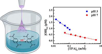 Quantification of Plasma-Produced Hydroxyl Radicals in Solution and their Dependence on the pH.gif