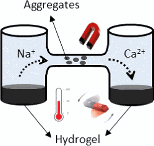 Remote Spatiotemporal Control of a Magnetic and Electroconductive Hydrogel Network via Magnetic Fields for Soft Electronic Applications