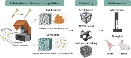 Strategic advances in Vat Photopolymerization for 3D printing of calcium phosphate-based bone scaffolds.jpg