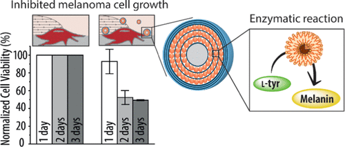 Tyrosinase-Loaded Multicompartment Microreactor toward Melanoma Depletion.gif