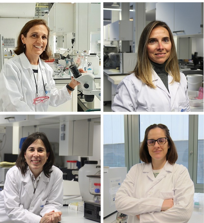 Four BBT researchers are among the most cited Spanish female scientists in the world