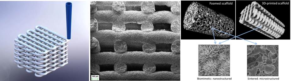 3Dprinted_scaffolds_CPC.jpg
