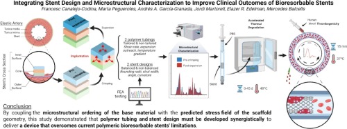 Integrating stent design and microstructural characterization to improve clinical outcomes of bioresorbable stents.jpg
