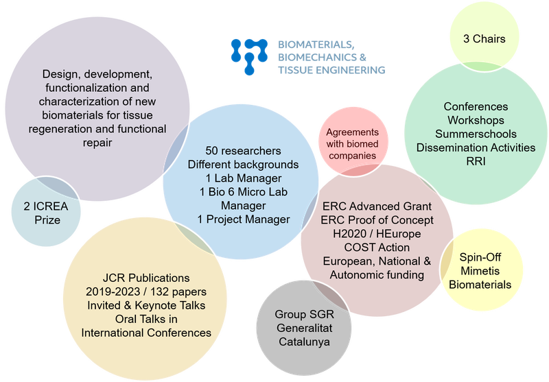 Overview BBT