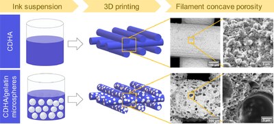3D printing of hierarchical porous biomimetic hydroxyapatite scaffolds Adding concavities to the convex filaments.jpg