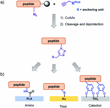 A versatile click chemistry-based approach for functionalizing biomaterials of diverse nature with bioactive peptides
