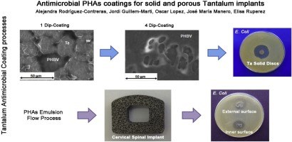 Antimicrobial PHAs coatings for solid and porous tantalum implants