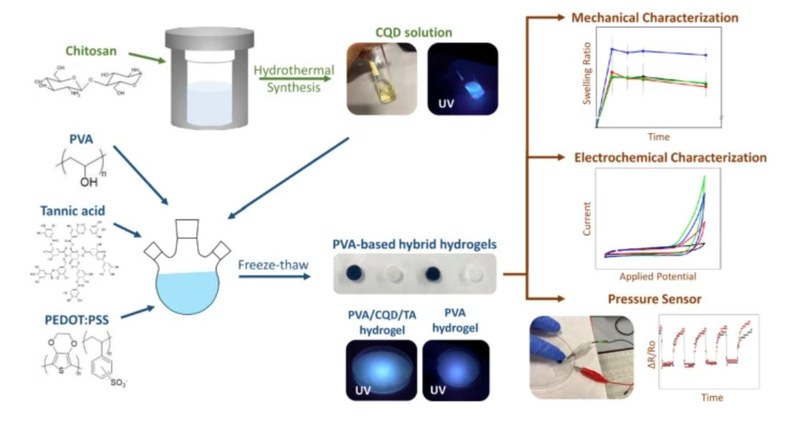 Biodegradable Conducting PVA-Hydrogel Based on Carbon Quantum Dots.JPG