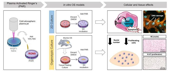 Cold Plasma-Treated Ringer's Saline: A Weapon to Target Osteosarcoma