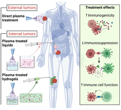 Current State of Cold Atmospheric Plasma and Cancer-Immunity Cycle - Therapeutic Relevance and Overcoming Clinical Limitations Using Hydrogels.png