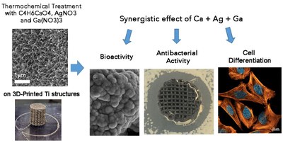 Dual-Action Effect of Gallium and Silver Providing Osseointegration and Antibacterial Properties to Calcium Titanate Coatings on Porous Titanium Implants.JPG