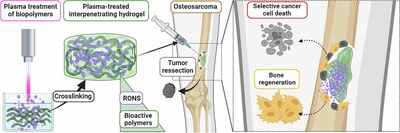Engineering alginate-based injectable hydrogels combined with bioactive polymers for targeted plasma-derived oxidative stress delivery in osteosarcoma therapy.jpg