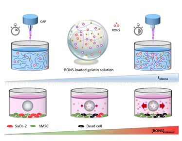Enhanced Generation of Reactive Species by Cold Plasma in Gelatin Solutions for Selective Cancer Cell Death.jpg