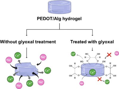 Glyoxal crosslinking of electro-responsive alginate-based hydrogels.jpg