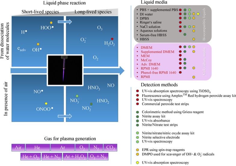 Important parameters in plasma jets for the production of RONS in liquids for plasma medicine: a brief review.