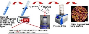 Novel synthesis method combining a foaming agent with freeze-drying to obtain hybrid highly macroporous bone scaffolds.jpg