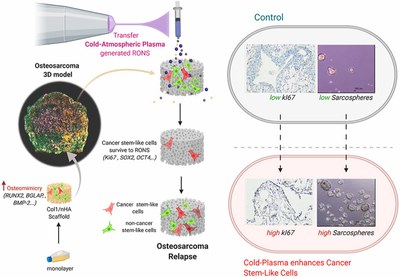 Osteosarcoma tissue-engineered model challenges oxidative stress therapy revealing promoted cancer stem cell properties