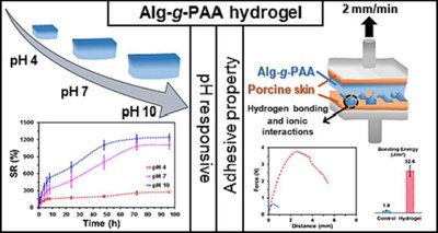 pH and electrically responsive hydrogels with adhesive property.jpg